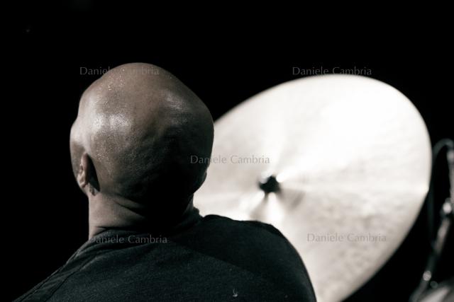 DHP (07)